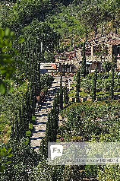San Gimignano  Weinberge  Toskana  Italien  Provinz Siena  UNESCO-Weltkulturerbe  Europa