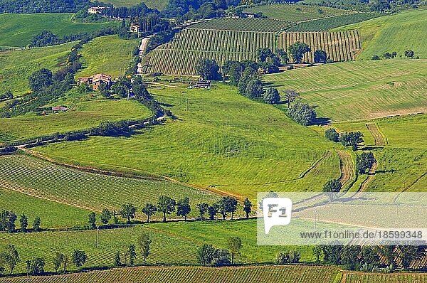 Montalcino  Val d'Orcia  UNESCO-Weltkulturerbe  Toskana-Landschaft  Provinz Siena  Toskana  Italien  Europa