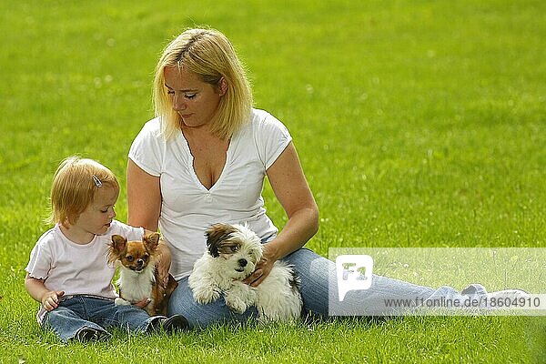 Frau und Tochter mit Chihuahua und Mischlingshund  Welpe  streicheln  streichelt