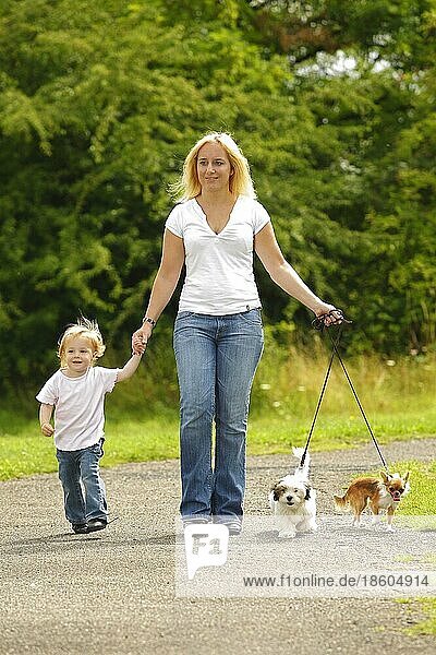 Woman and daughter with Chihuahua and mixed-breed dog  puppy  leash  on a walk