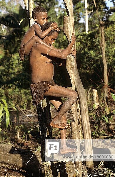 Frau mit Kind vom Volk der Korowai klettert zum Baumhaus  West-Papua  West-Neuguinea  Irian-Jaya  Baummenschen  Indonesien  Asien