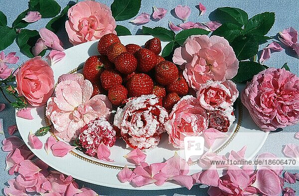 Candied rose blossoms and strawbeeries on plate  Kandierte Rosenblüten und Erdbeeren auf Teller  eatable blossoms  essbare Blüten  innen  Studio