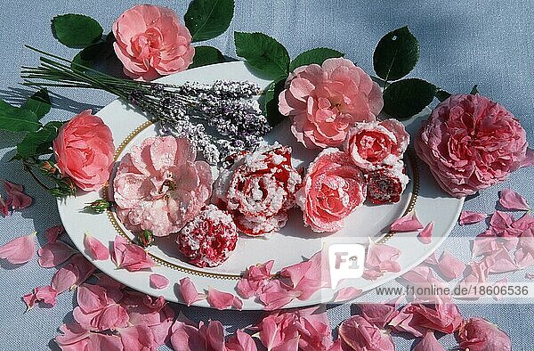 Candied rose blossoms and lavender on plate/ Kandierte Rosenblüten und Lavendel auf Teller  eatable blossoms  essbare Blüten  innen  Studio