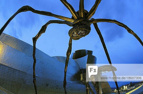 Bilbao  Bizkaia  Kantabrien  Spanien  Cantabrien  Guggenheimmuseum  Baskenland  Europa