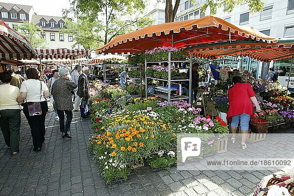 Blumenstand  Markt  Mannheim  Baden-Württemberg  Deutschland  Blumenstand auf Wochenmarkt  Europa  Querformat  horizontal  Europa