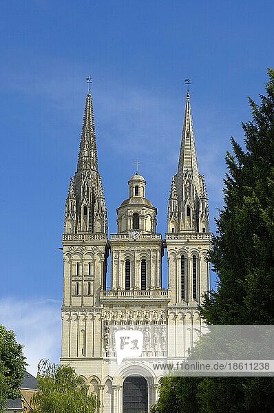Kathedrale von Angers  Angers  Maine-et-Loire  Pays de la Loire  Frankreich  Cathedrale Saint-Maurice d'Angers  Romanik und Gotik  Europa