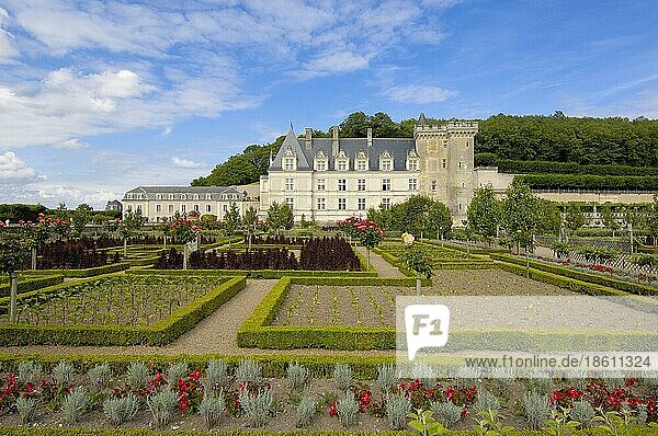 Schlossgarten  Loiretal  Touraine  Chateau de  Schloss Villandry  Villandry  Centre  Frankreich  Europa
