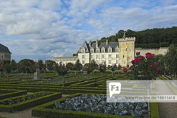 Schlossgarten  Loiretal  Touraine  Chateau de  Schloss Villandry  Villandry  Centre  Frankreich  Europa