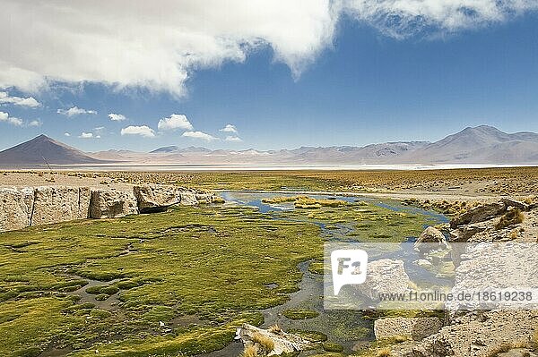 Laguna Colorada  Altiplano  Potosi  Bolivien  Salzsee  Südamerika