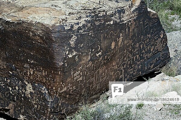 Newspaper Rock mit Petroglyphen der Anasazi-Indianer im Petrified Forest National Park  Arizona  US