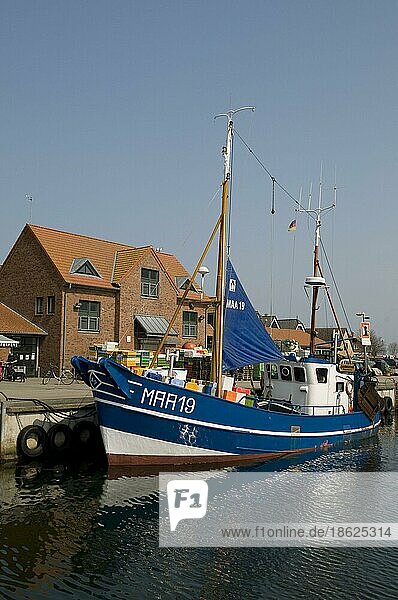 Fishing boat in the harbour  fishing village  Schlei  Maasholm  Schleswig-Holstein  Germany  Europe