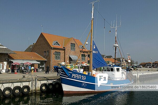 Fishing boat in the harbour  fishing village  Schlei  Maasholm  Schleswig-Holstein  Germany  Europe