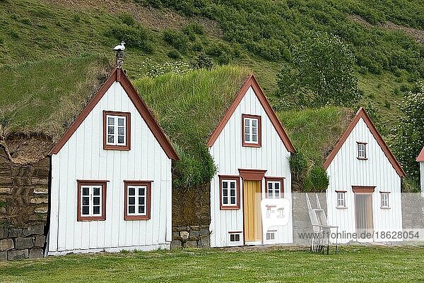 Bauernhaus  Museumshof  Laufas  Eyjafjord  Island  Grassodenhaus  Dachbegrünung  Torfgehöft  Europa