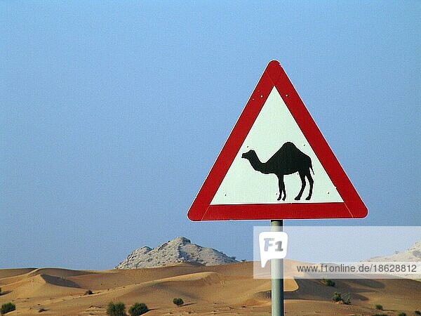 Verkehrsschild 'Achtung Kamele'  Dubai  Vereinigte Arabische Emirate  Asien