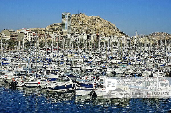 Hafen  Castillo Santa Barbara  Alicante  Costa Blanca  Spanien  Europa