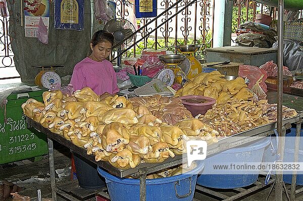 Market stall with chicken  Pat Chong Market  Thailand  Marktstand mit Hähnchen  Pat Chong Markt  Thailand  Asien