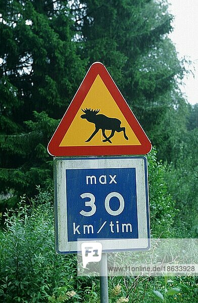 Straßenschild Vorsicht Elche überqueren Straße  Schweden  Europa
