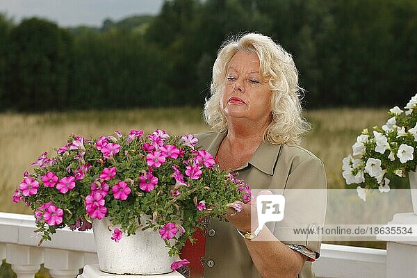 Frau schaut Petunie an (Petunia hybride)  anschauen