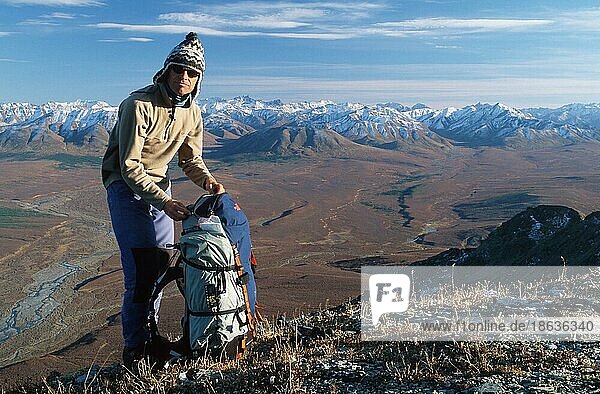 Hiker in the mountains  Primose Ridge  Denali National Park  Alaska  USA  North America
