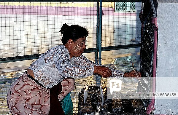 Frau betet im Tempel  Kawthaung  Burma  Myanmar  Asien
