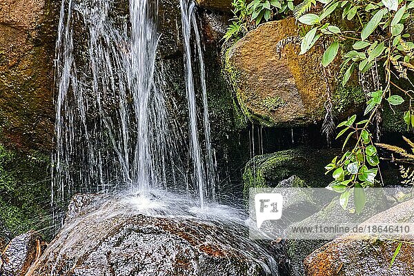 Kleiner Wasserfall mit Wasserlauf zwischen moosbewachsenen Felsen und Vegetation  Brasilien  Südamerika
