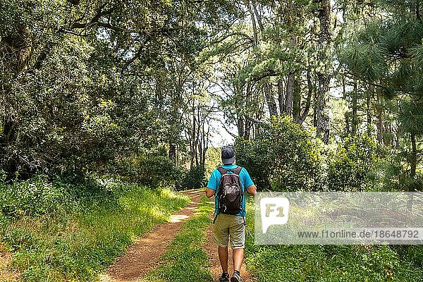 Ein kleiner Junge auf einem Wanderweg im Naturpark La Llania auf El Hierro  Kanarische Inseln. üppig grüne Landschaft