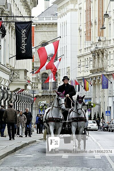 Fiaker  Pferdekutsche als Touristenattraktion  Stadtansicht Wien  Österreich  Europa
