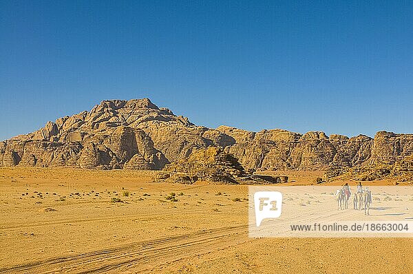 Beduinen mit Kamelen in der Wüste  Wadi Rum  Jordanien  Asien