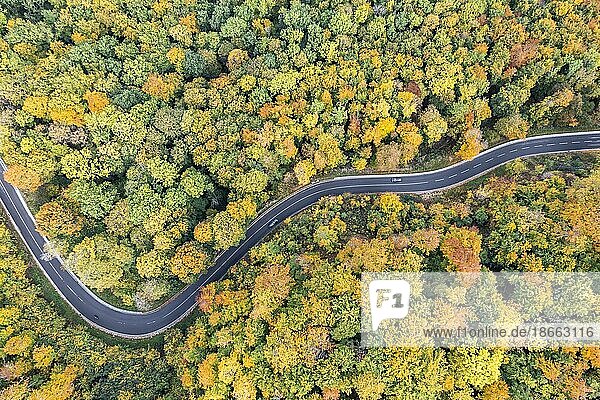 Kurvenreiche Straße durch einen bunt gefärbten Wald im Herbst  Drohnenfoto  Gutenberger Steige  Lenningen  Baden-Württemberg  Deutschland  Europa