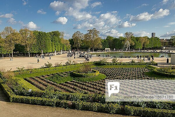 Blick über den Tuileriengarten Jardin des Tuileries  Paris  Frankreich  Europa