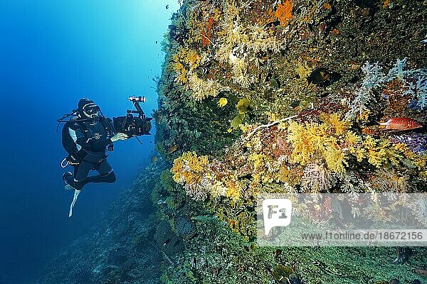 Kameramann filmt an Korallenriff mit professioneller Unterwasser-Video-Kamera vom Typ RED Dragon X 6K Digital Cinema Camera im Nauticam Unterwasser-Gehäuse  Sulusee  Pazifik  Palawan  Calamian Inseln  Philippinen  Asien