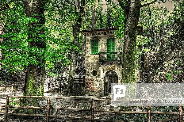 Altes Haus im Wald mit grünen Bäumen im Tessin  Schweiz  Europa