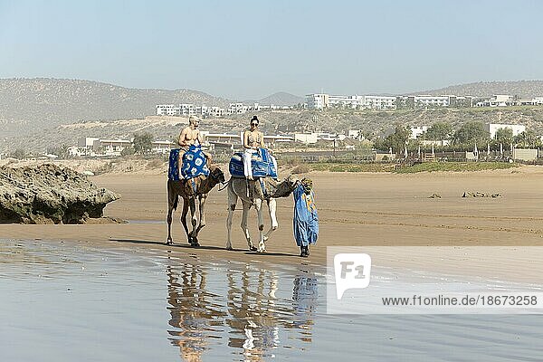 Zwei Menschen reiten auf Kamelen am Sandstrand von Taghazout  Marokko  Nordafrika  Afrika