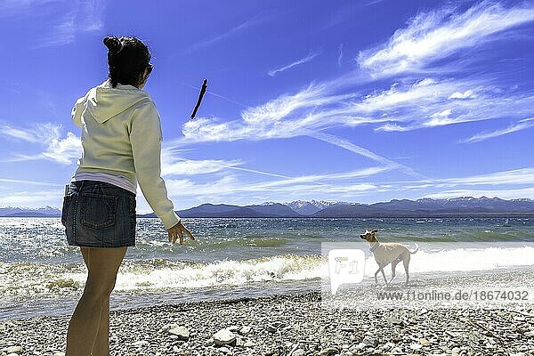 Junge Frau spielt mit ihrem Windhund auf einem Spaziergang. Besitzer wirft Stock zu seinem Haustier