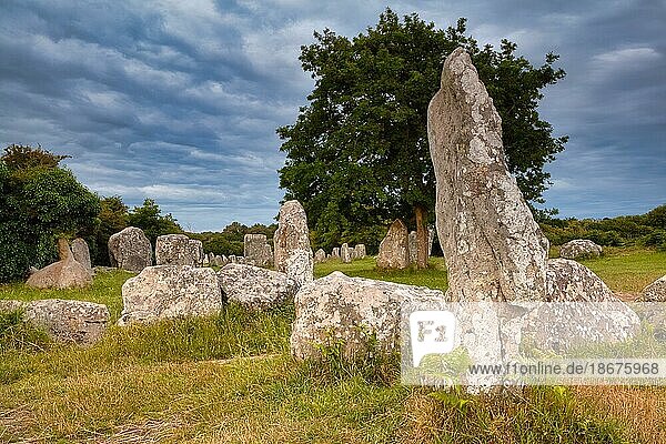 Megalithische Steinreihen von Kerzerho  Gemeinde Erdeven  Departement Morbihan  Bretagne  Frankreich  Europa