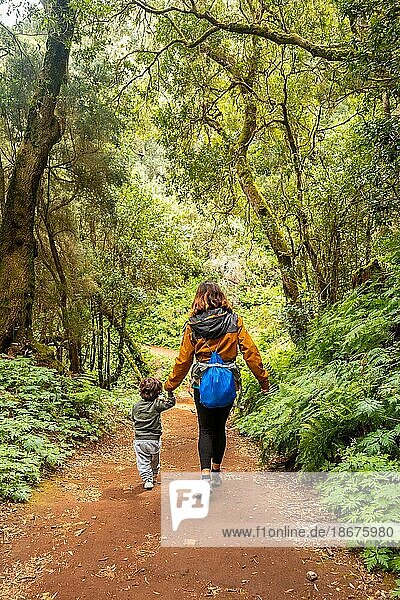 Mutter und Sohn auf dem Wanderweg im moosbewachsenen Wald des Nationalparks Garajonay  La Gomera  Kanarische Inseln. Auf dem Ausflug nach Las Creces