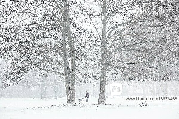 Berlin  Eine Frau läuft mit einem Hund durch den Tiergarten  aufgenommen während starken Schneefalls in Berlin