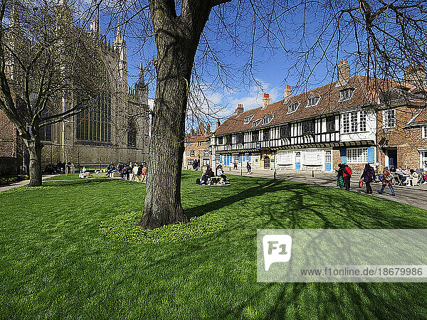 College Green and St. Williams College in Spring in York  Yorkshire  England  Unted Kingdom  Europe
