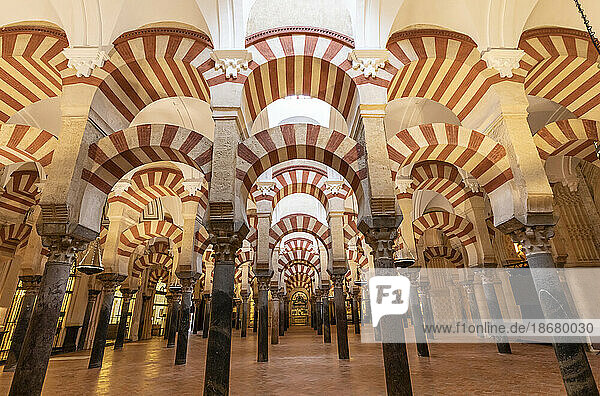 Interior of The Mosque (Mezquita) and Cathedral of Cordoba  UNESCO World Heritage Site  Cordoba  Andalusia  Spain  Europe