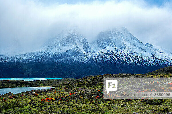 Torres del Paine National Park  southern Chile  South America