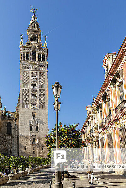 Seville Cathedral Exterior  UNESCO World Heritage Site  Seville  Andalusia  Spain  Europe