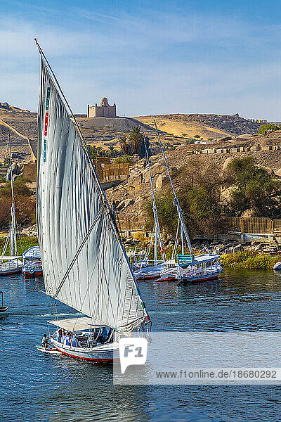 Feluccas on the River Nile  Aswan  Egypt  North East Africa