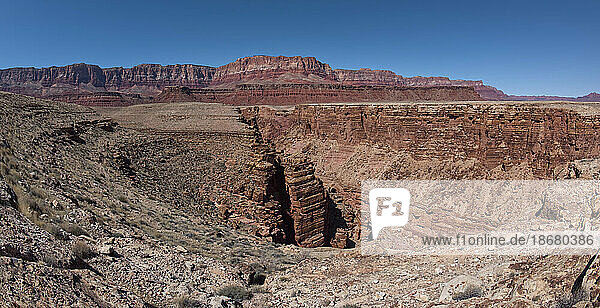 The North Fork Abyss of the Lower Soap Creek Canyon joining the confluence of the South Fork in Marble Canyon  Arizona  United States of America  North America