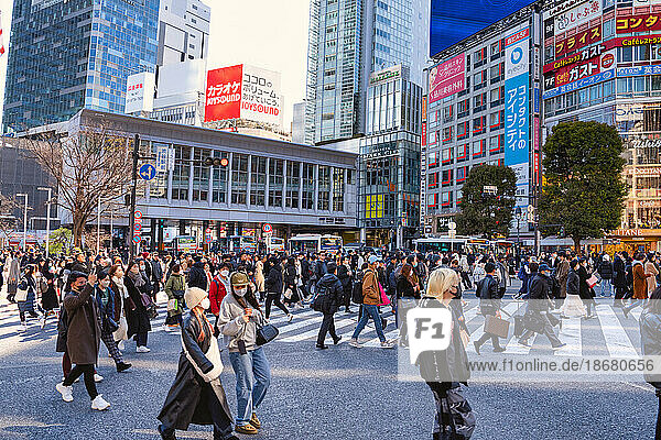 Shibuya crossing  Tokyo  Honshu  Japan  Asia