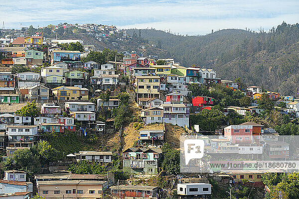 Colorful houses  Cerro Polanco  Valparaiso  Valparaiso Province  Valparaiso Region  Chile  South America