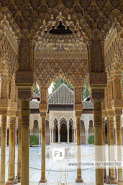 Court of the Lions  The Alhambra  UNESCO World Heritage Site  Granada  Andalusia  Spain  Europe