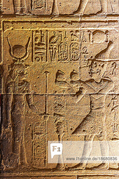Stone Carvings and Hieroglyphs in The Sanctuary at The Temple of Isis  Philae Temple Complex  UNESCO World Heritage Site  Agilkia Island  Aswan  Egypt  North Africa  Africa