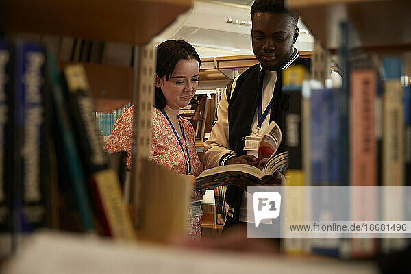 University students reading books in library