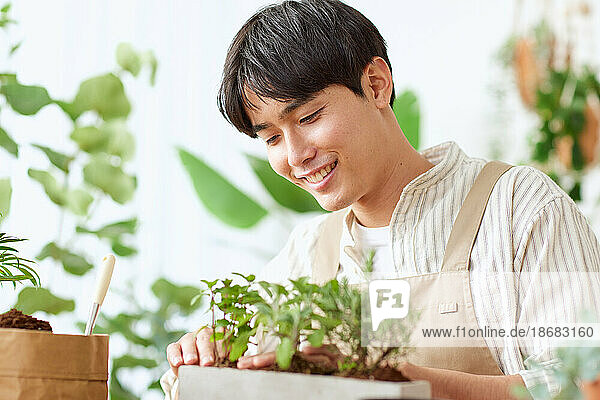 Young Japanese man gardening