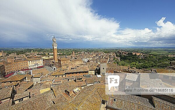 Torre del Mangia und die Dächer von Siena  Provinz Siena  Toskana  Italien  Europa